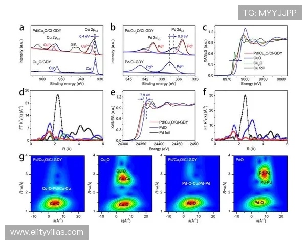 欧博登录界面优化建议，提升用户操作便捷性的实用方案